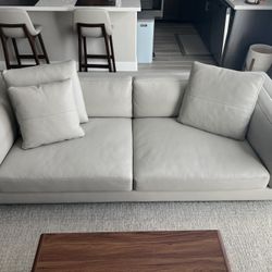 Rove Concepts Leather Nico Couch