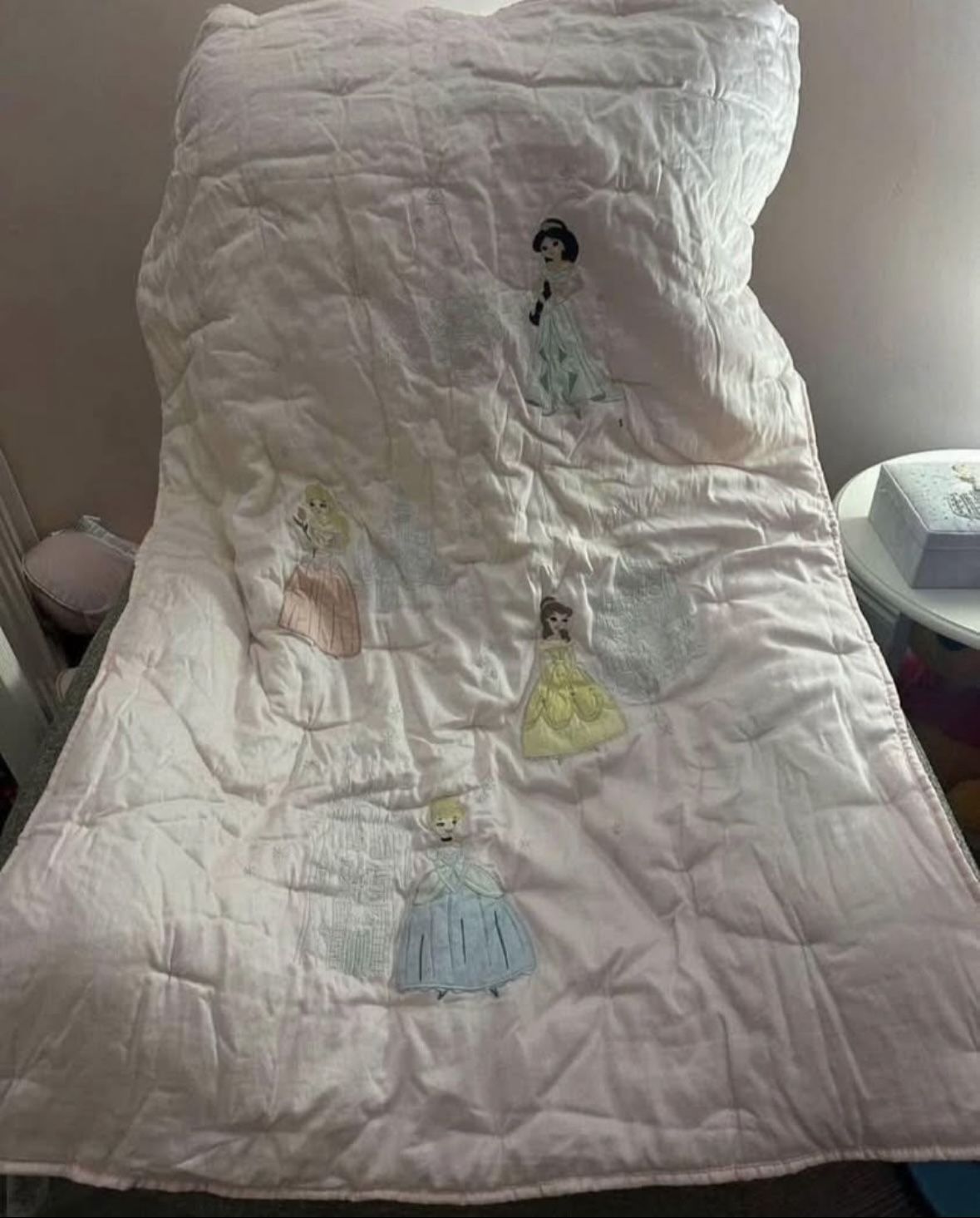 Pottery Barn Comforter & Accesories