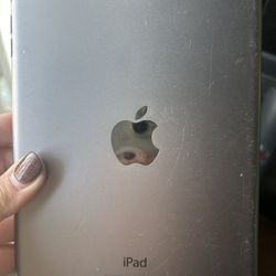 iPad Mini 
