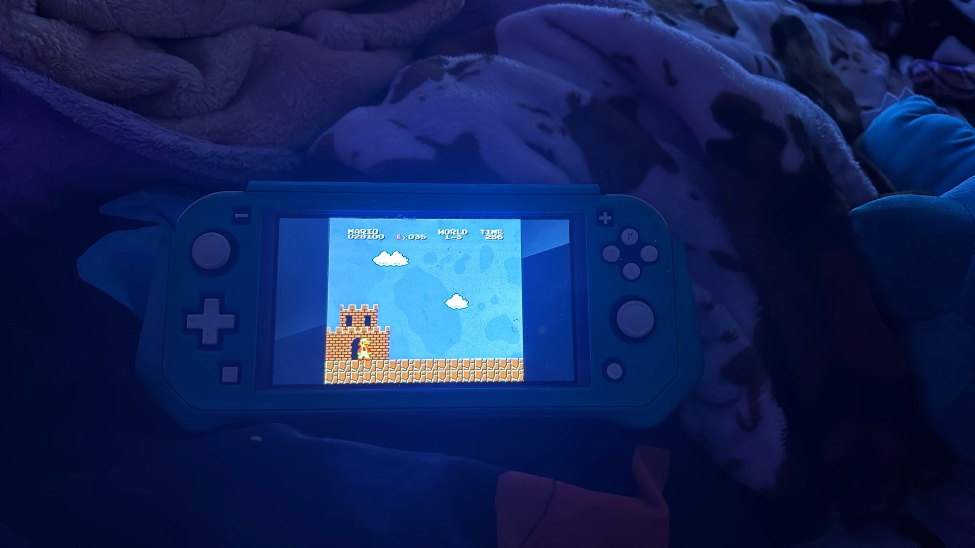 Nintendo Lite