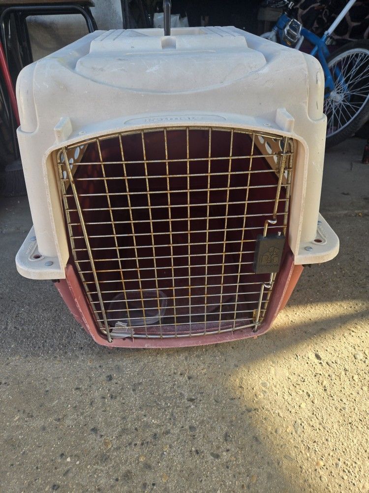 Medium Crate