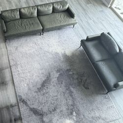 Living room 3 Piece set - West Elm Leather Sofa + CB2 Area Rug