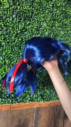 Lady bug wig