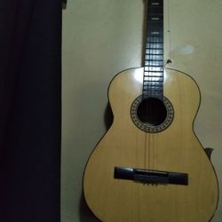 Guitar