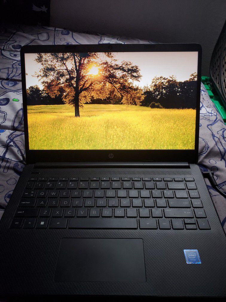 HP Laptop 14 Windows 11