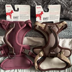 Reddy Dog Harness