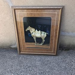 Asian Equus By Hampton Hall