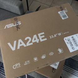 Computer Monitor 