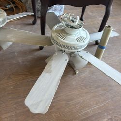Ceiling fan