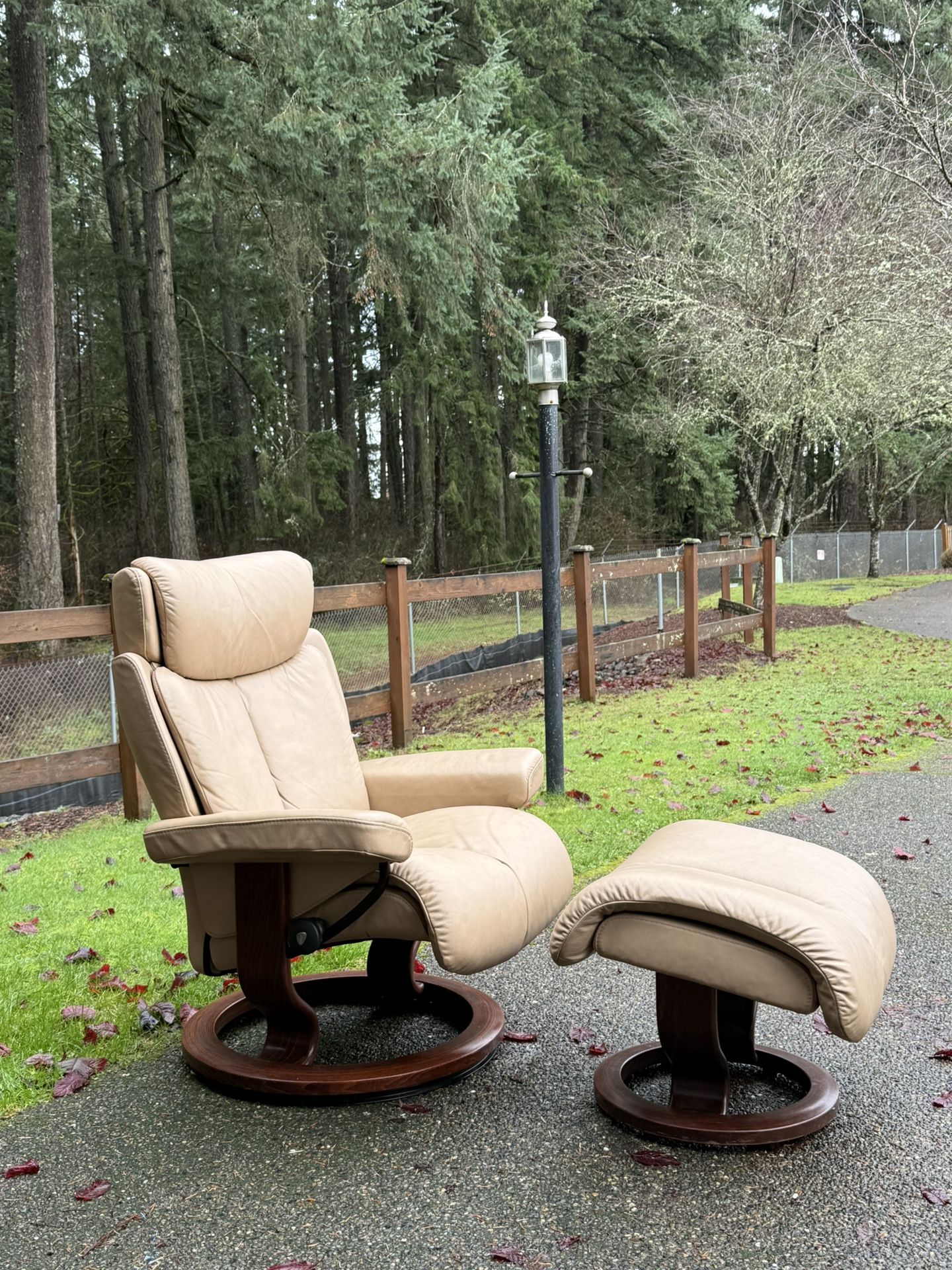 Ekornes Stressless Chair And Ottoman