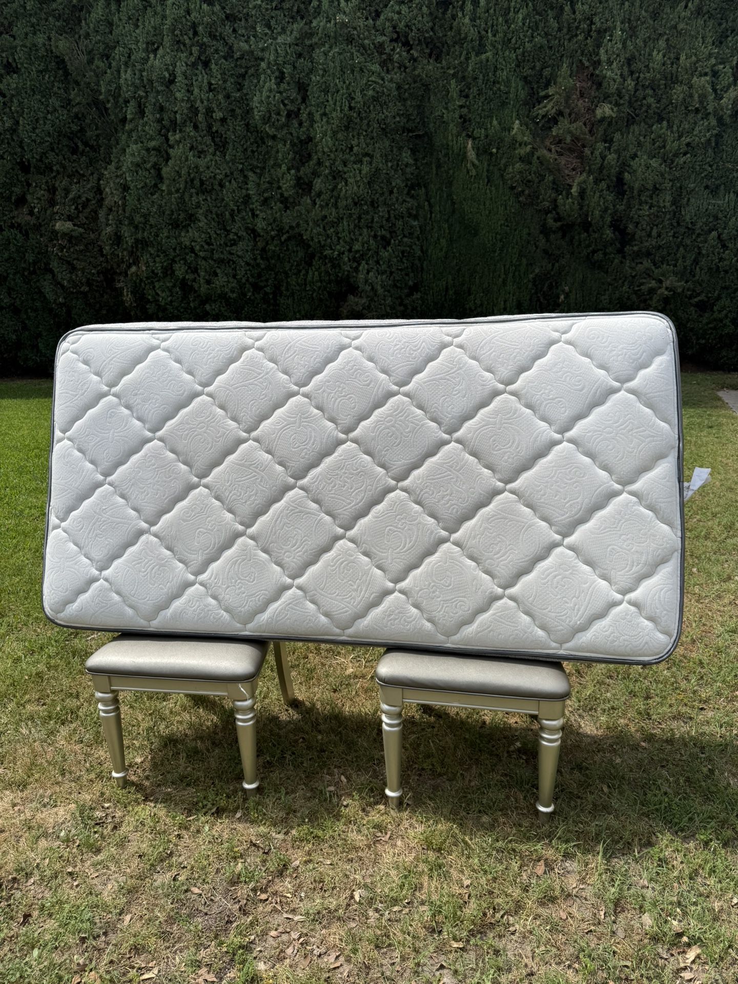 Twin mattress O Colchon.precio firme, pick up only.