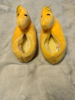 Vintage Woodstock Slippers