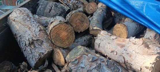 firewood