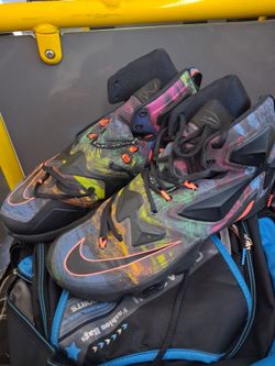 LeBron James 13