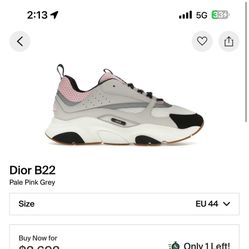 Dior B22 Pink - SIZE 43/US10