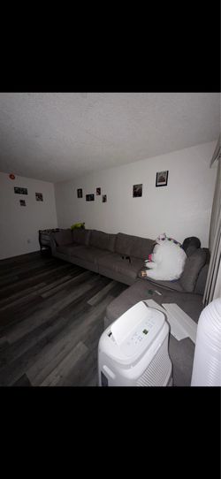 Couches