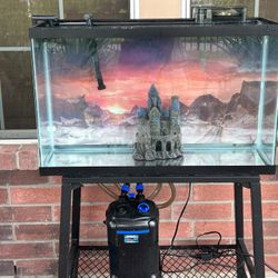 36 Gallon Aquaruim With Two Pump 6 Month Old 