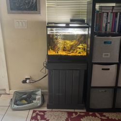 25 Gallon Fish Tank with Stand