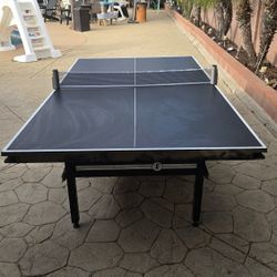 Ping Pong Table
