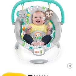 Bright Starts Baby Bouncer