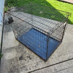 Dog Cage