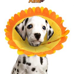 Alfie Pet Noah Recovery Collar•Sunflower •Ideal for injuries, rashes and post surgery. Sizes  L, XL and XXL Dog Sunflower Style