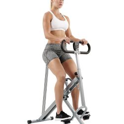 Sunny Row-N-Ride Exerciser