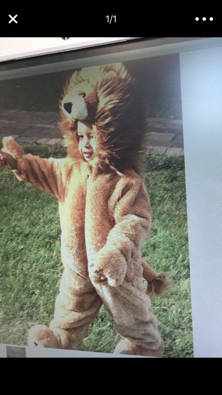 Lion Halloween costume