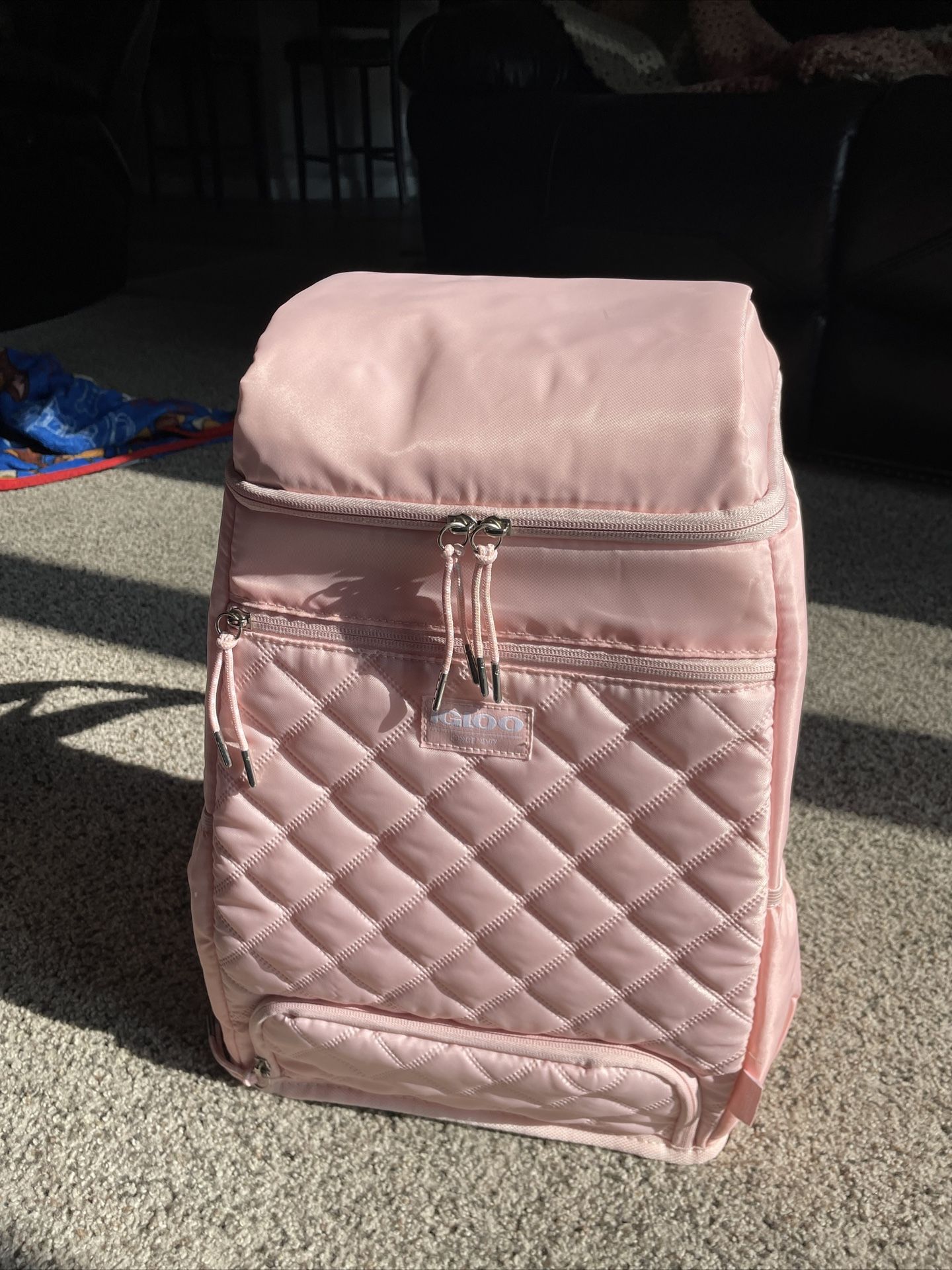 Igloo maxcold duo backpack cooler with dual compartment