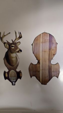 Taxidermy Black walnut wood Plaque 