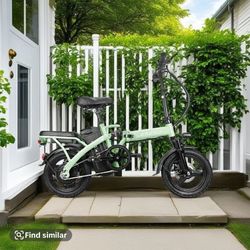 Electric Bike