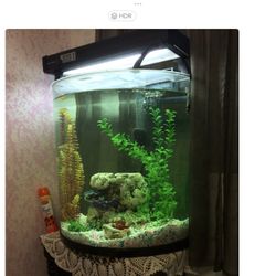 half moon fish tank $145