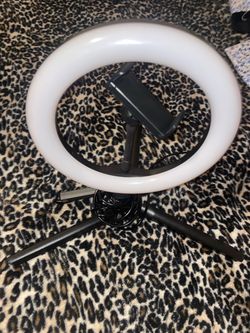 recording light