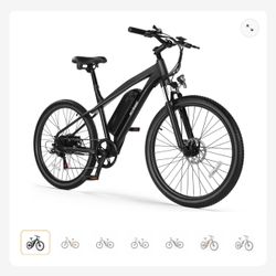 Race   Electric   Mountain   Bike 