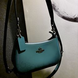 Mini Teri Coach Purse