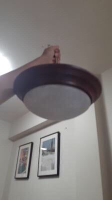 Ceiling Light Fixture