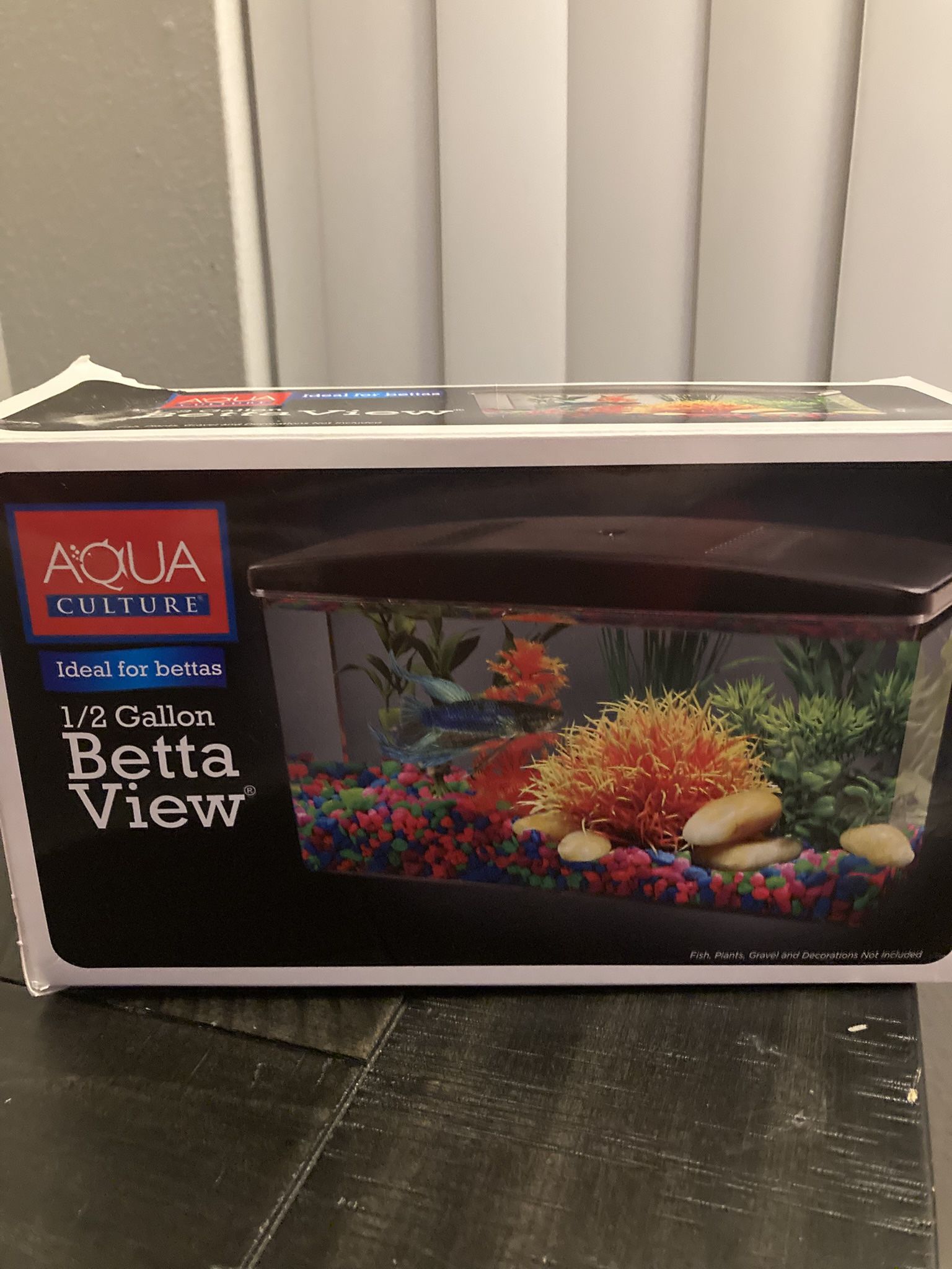 Betta Fish Tank