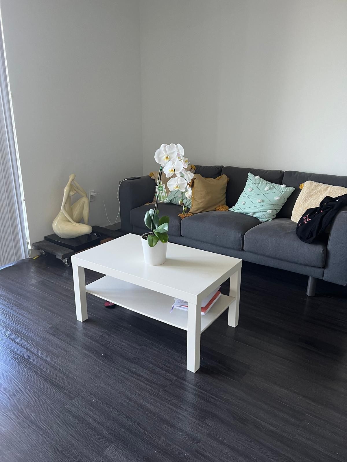 West Elm Fairly New Sofa 