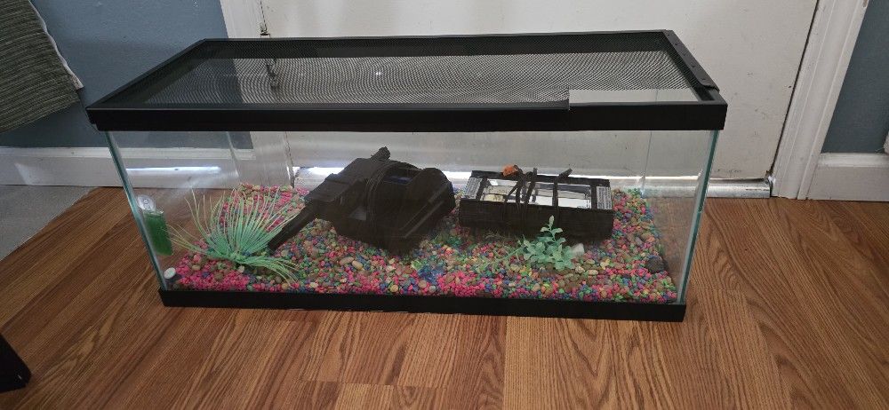 For Reptile Or Fish Good Condition And Brand New Filter
