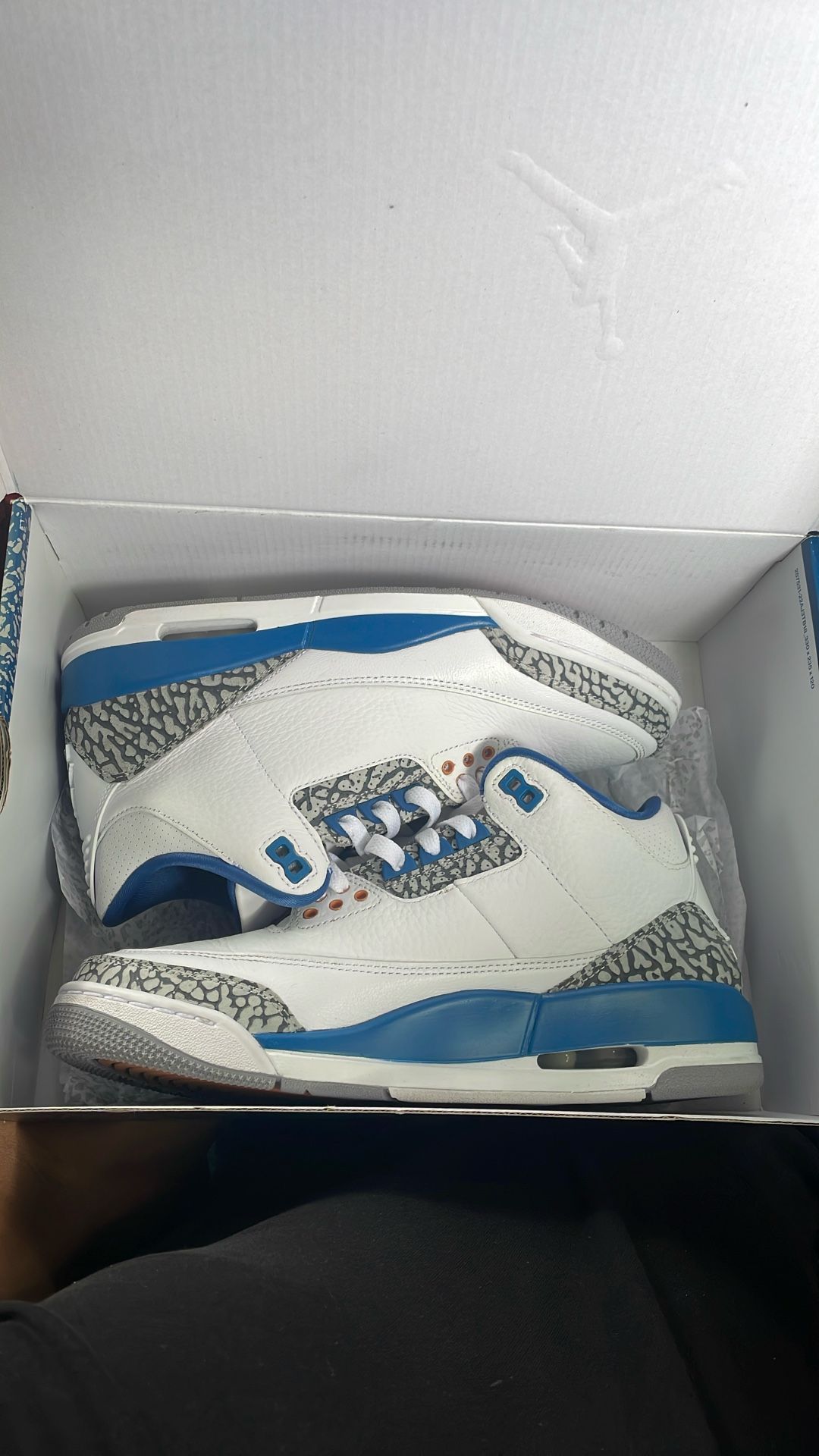 Jordan 3 Wizards