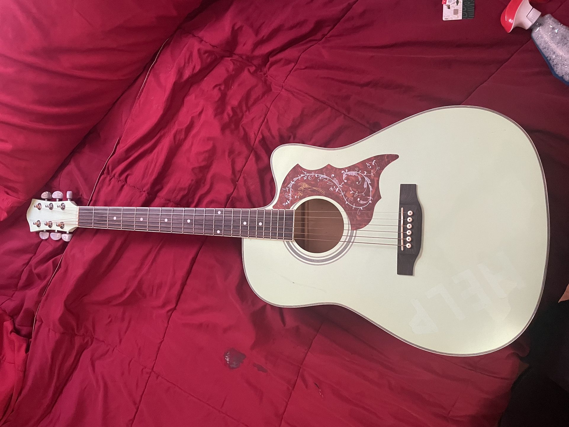 Acoustic Guitar Dreadnought Style