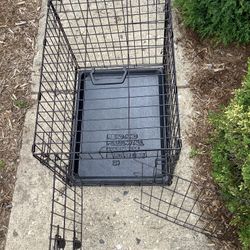 Metal Dog Crate With Puppy Divider 24 Inches L For Small Puppy To Small Dog
