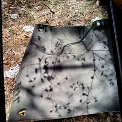 1998 Pontiac Firebird