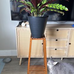2 Tier plant Holder
