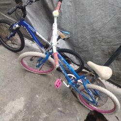Kids Bike Both Together 