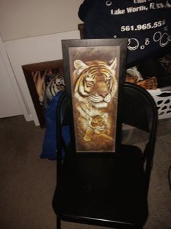 Tiger Picture
