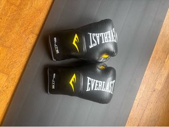 Everlast Boxing Gloves