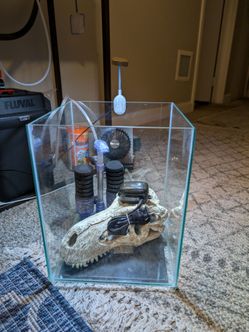 4 gallon fish tank