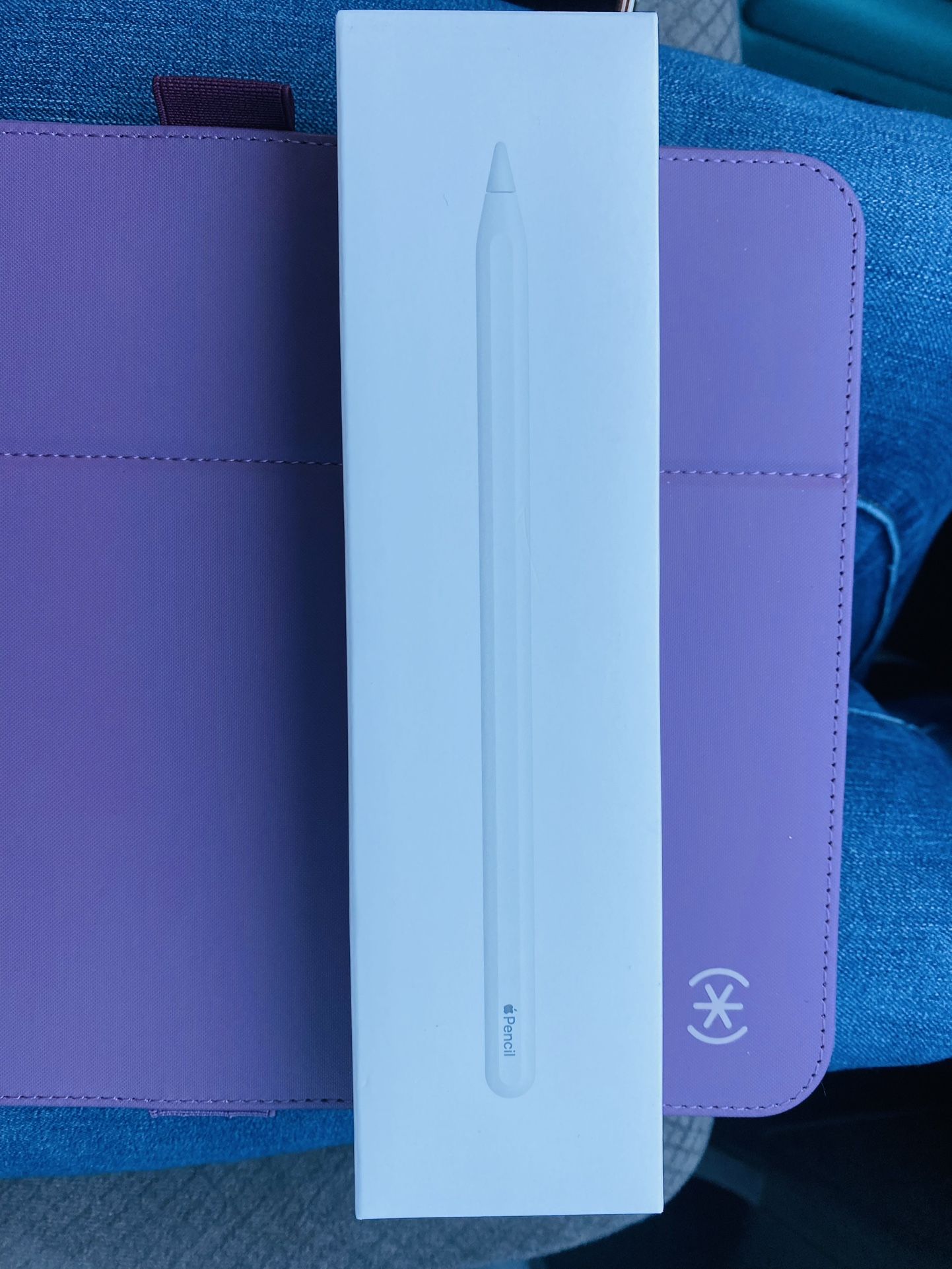 Apple Pencil (2nd gen)