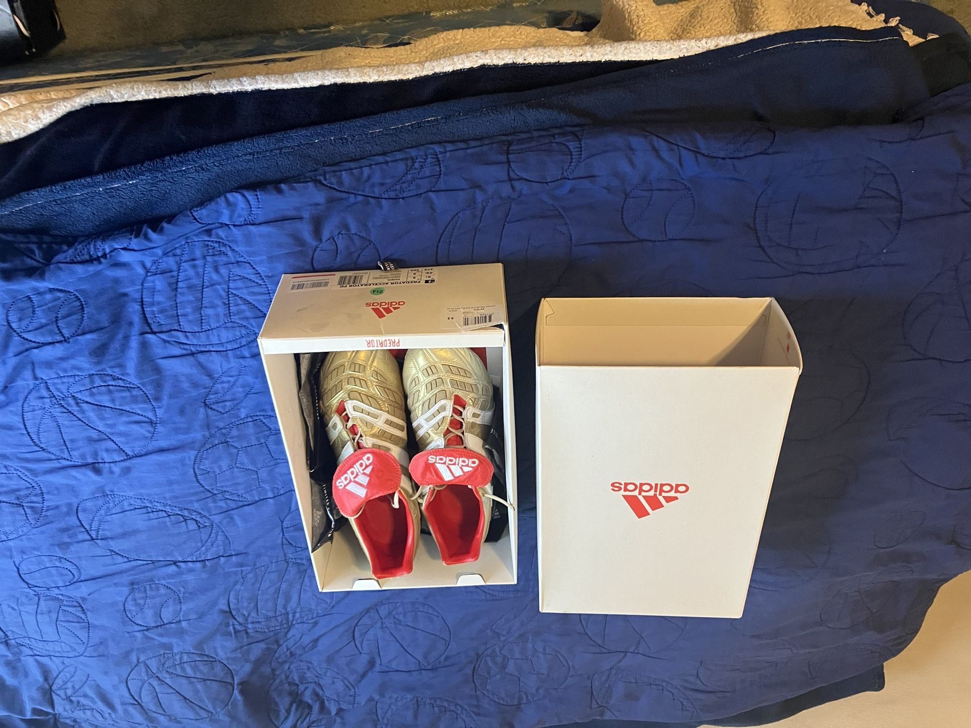 Adidas Predator Accelerator